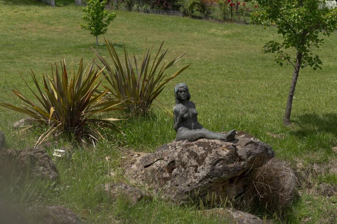 Photo of Others in Shepherds Flat