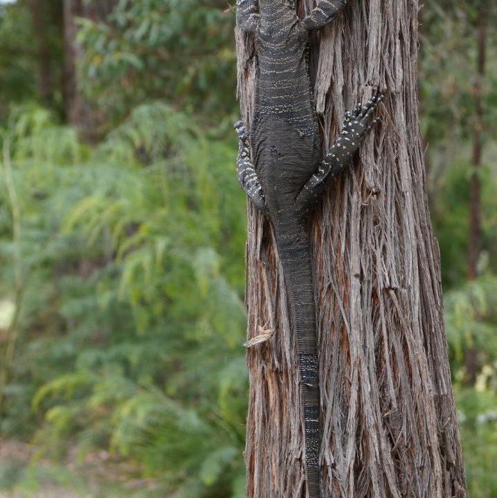 Photo of Others in Bournda