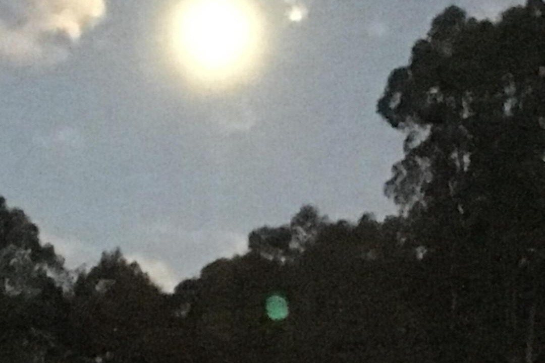 Photo of Others in Jackeys Marsh
