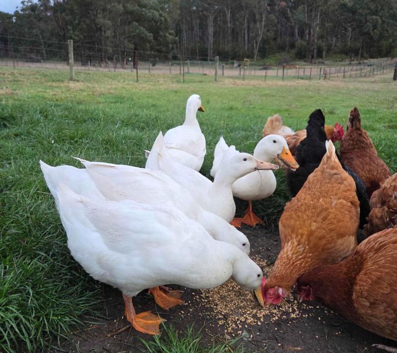 Photo of Others in Wesburn