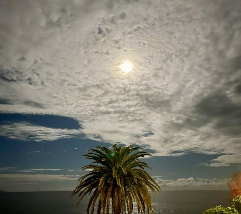 Photo of Others in Cronulla