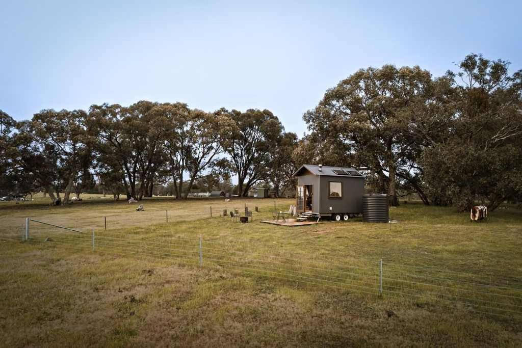 Photo of Others in Taradale