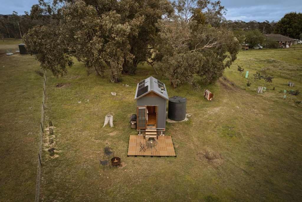 Photo of Others in Taradale