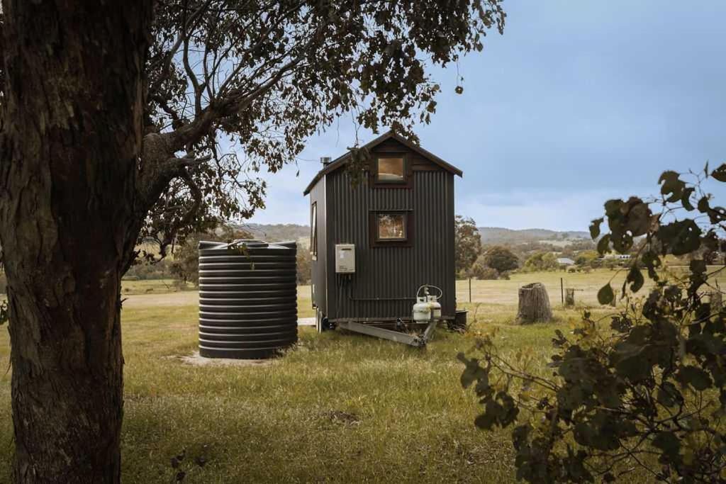 Photo of Others in Taradale