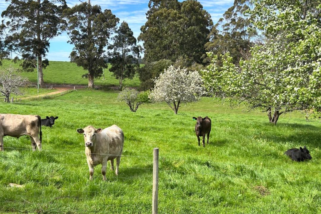Photo of Others in Northcliffe