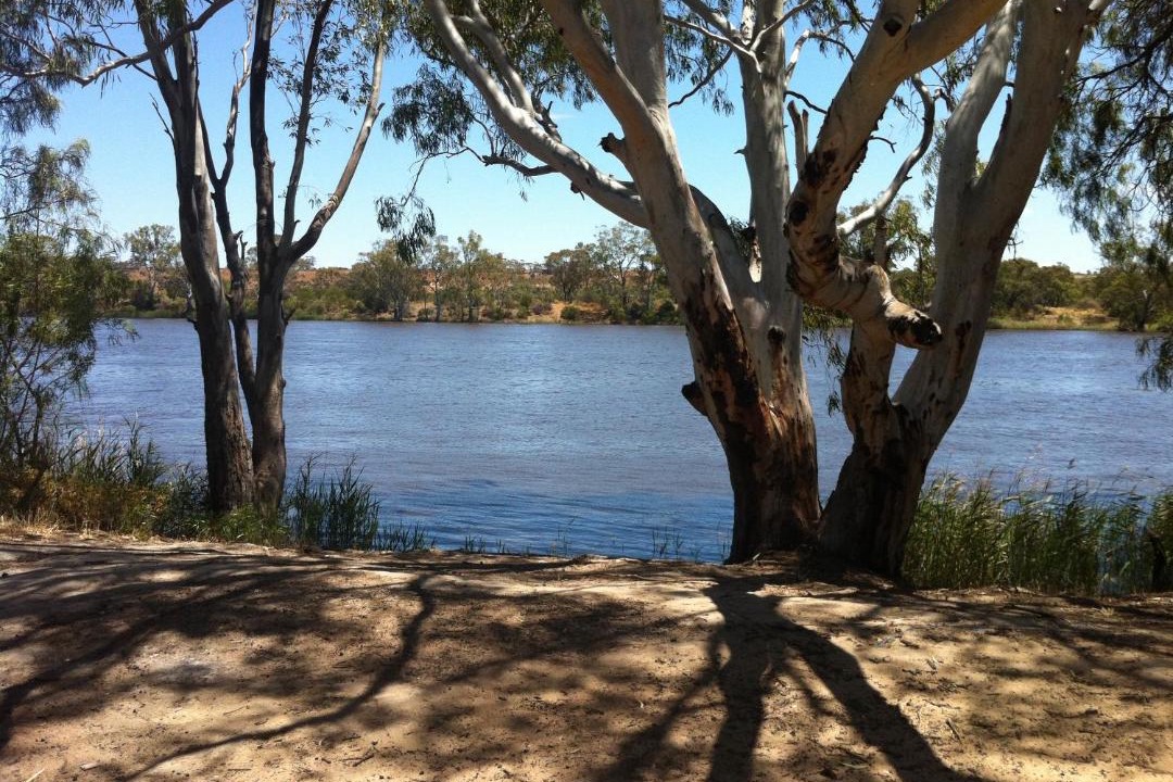Photo of Others in Greenways Landing