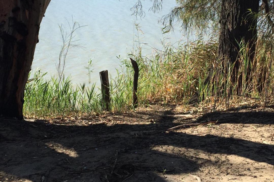 Photo of Others in Greenways Landing