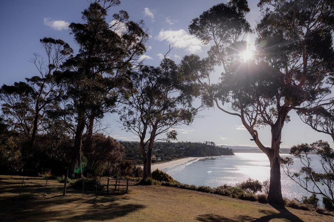 Photo of Others in Spring Beach