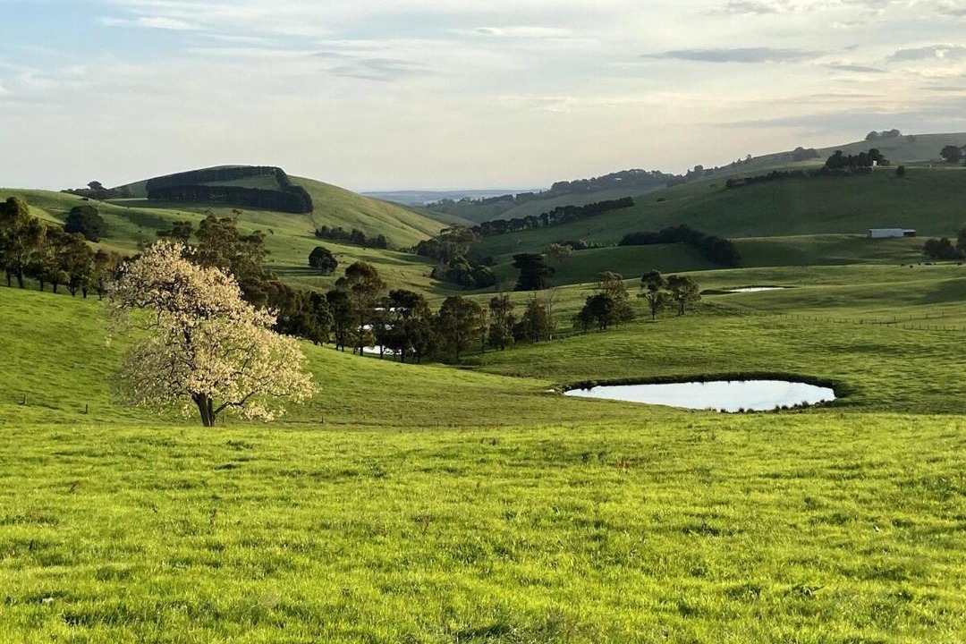 Photo of Others in Korumburra