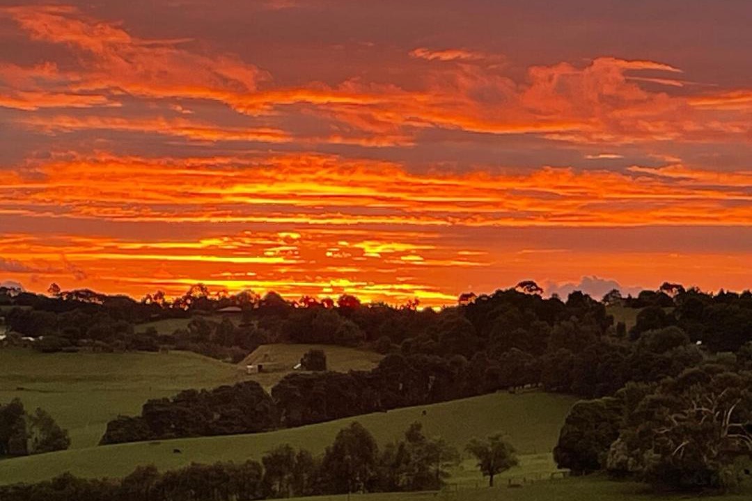 Photo of Others in Korumburra