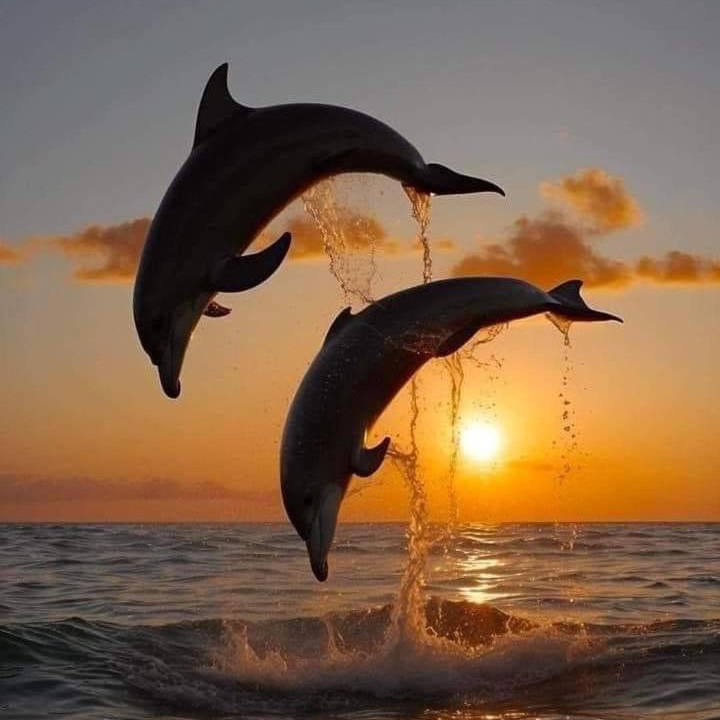 Photo of Others in Jurien Bay