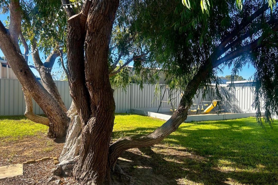 Photo of Others in Jurien Bay