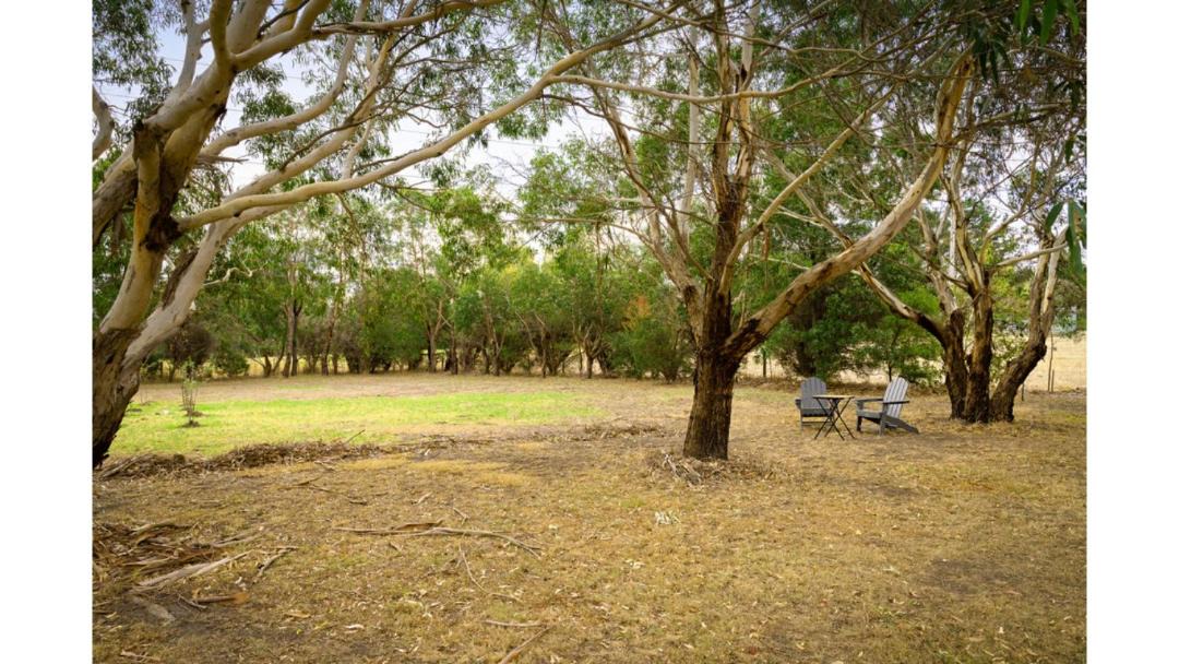 Photo of Others in Bolwarra
