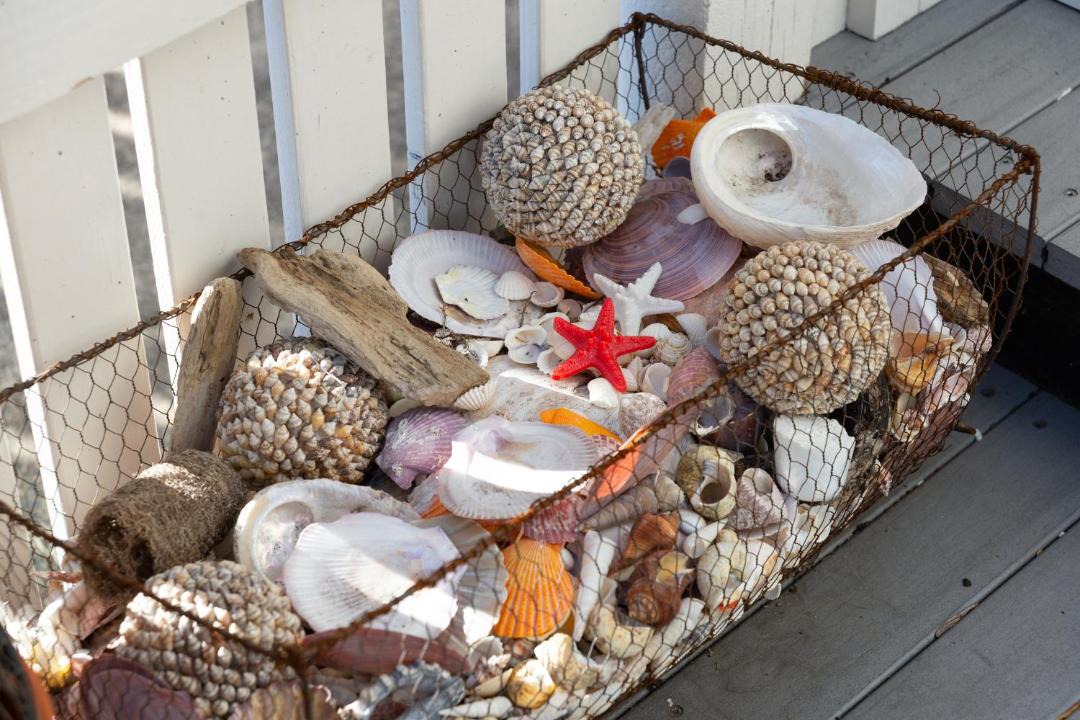 Photo of Others in Sandy Bay