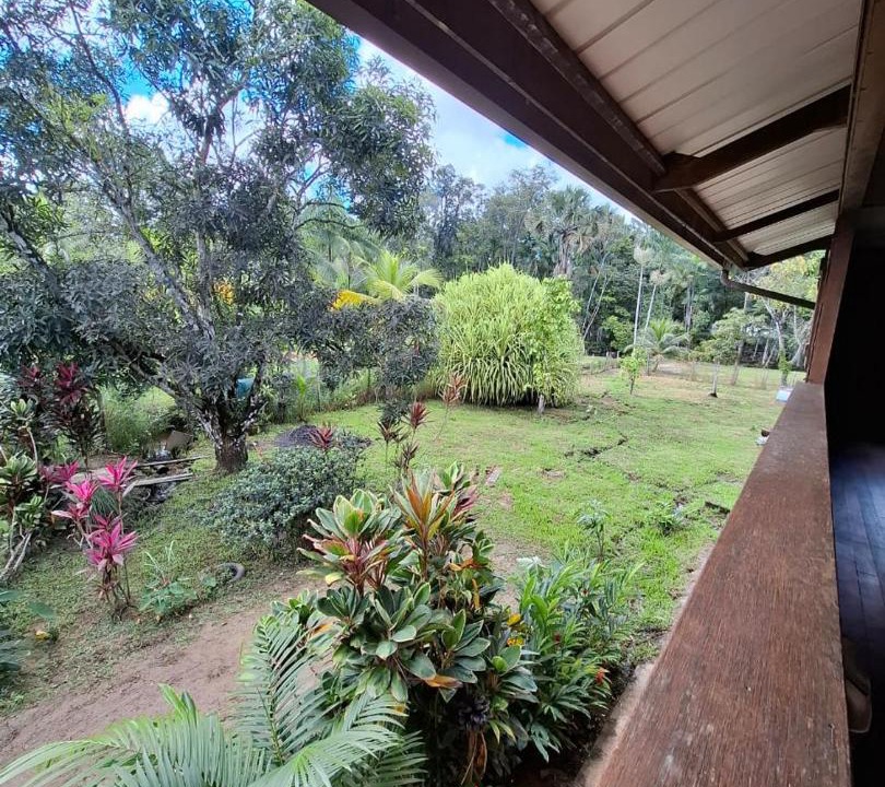 Photo of Others in Montsinery-Tonnegrande