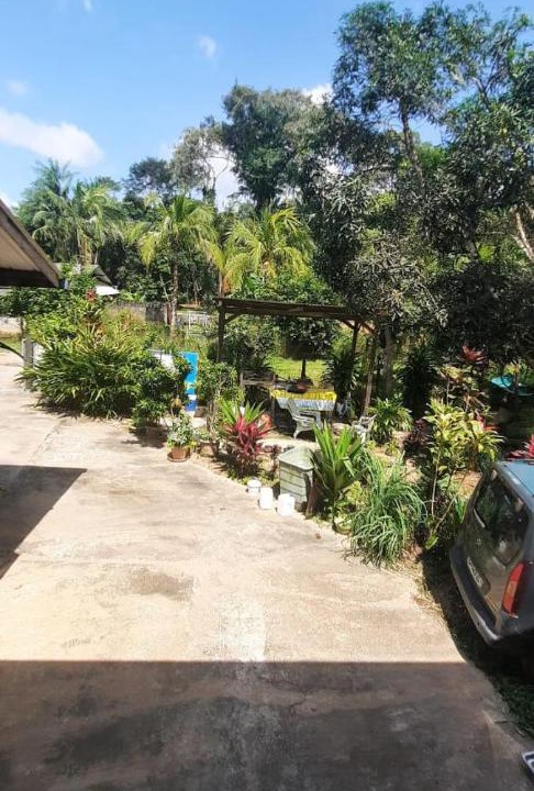 Photo of Others in Montsinery-Tonnegrande