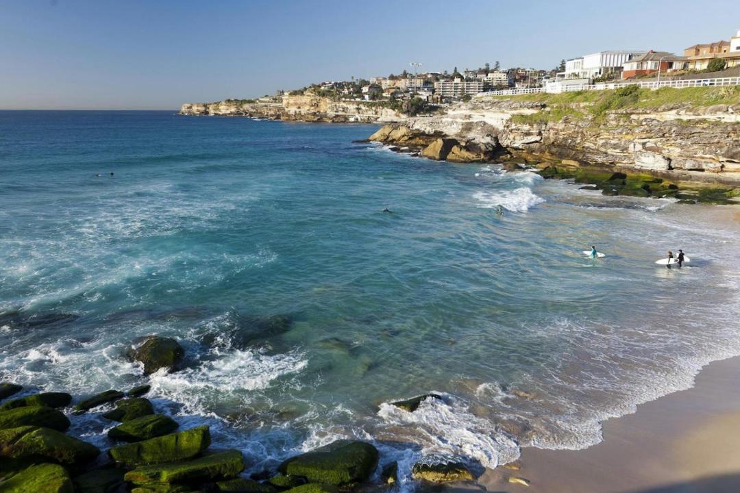 Photo of Others in Tamarama