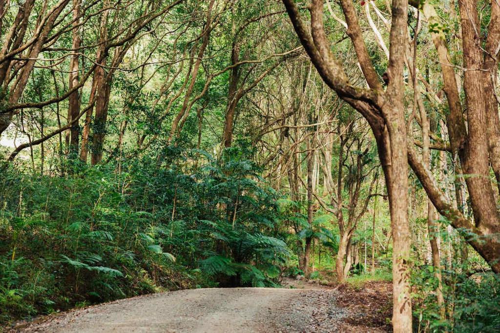Photo of Others in Possum Creek