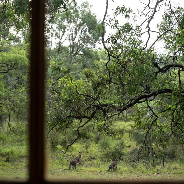 Photo of Others in Lovedale