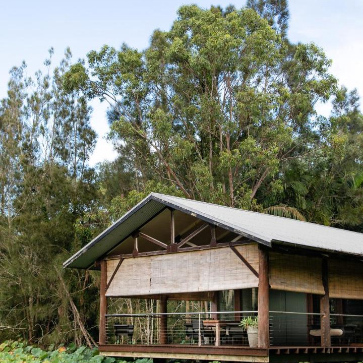 Photo of Others in Lovedale