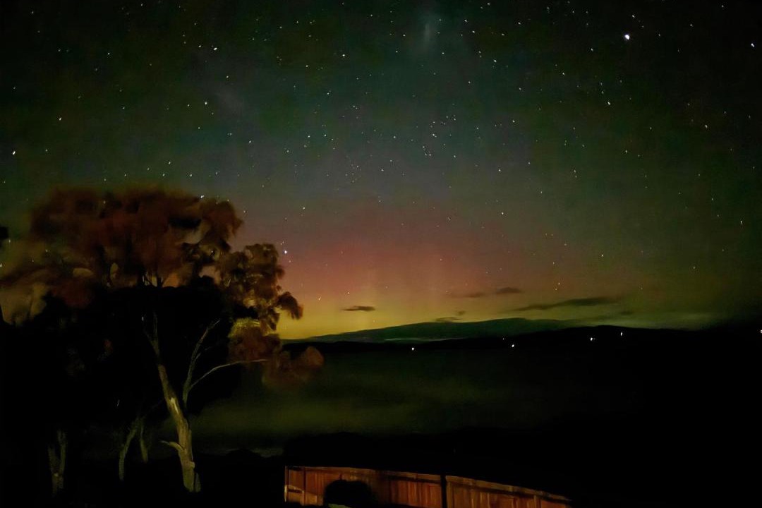 Photo of Others in South Arm