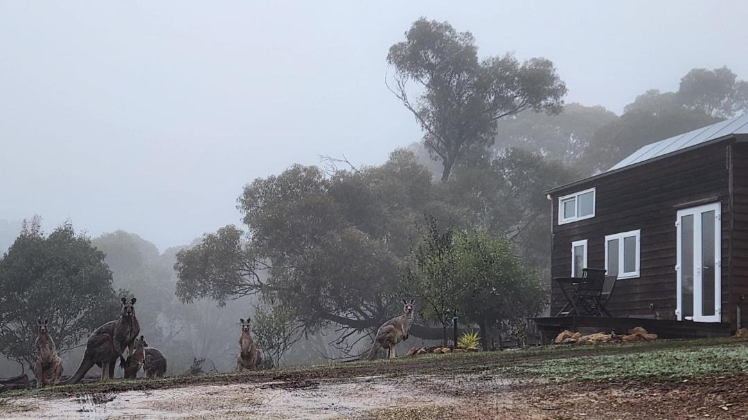 Photo of Others in Daylesford