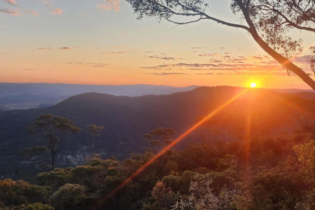 Photo of Others in Mount Victoria