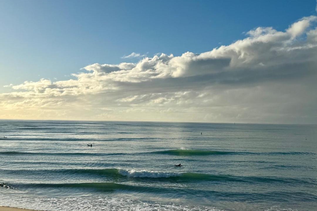 Photo of Others in Mandurah