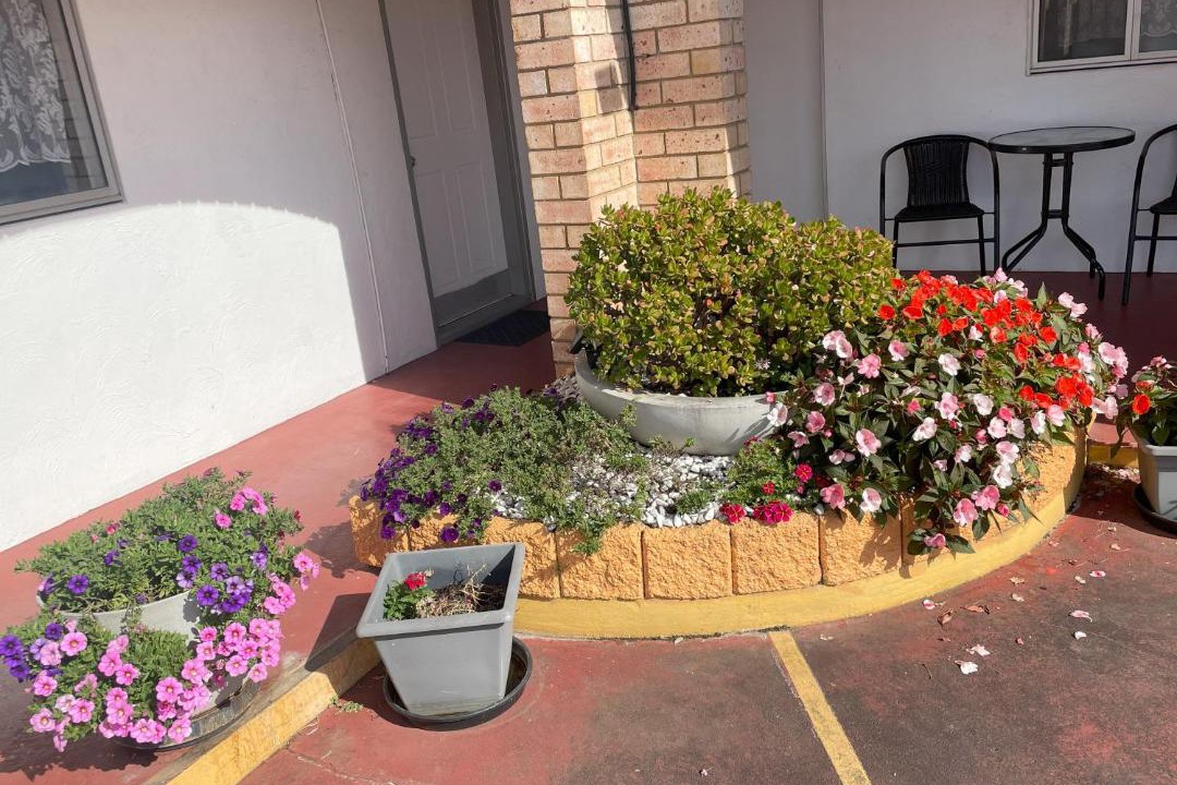 Photo of Others in Taree