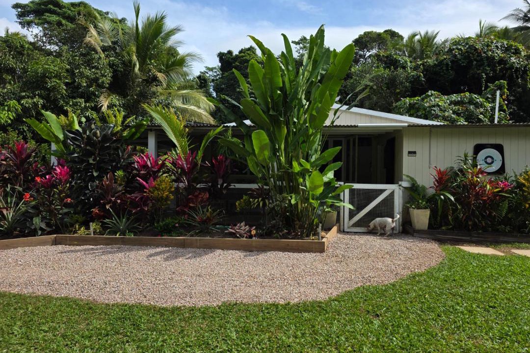 Photo of Others in Cape Tribulation