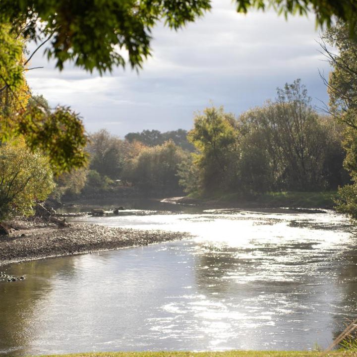 Photo of Others in Tumut
