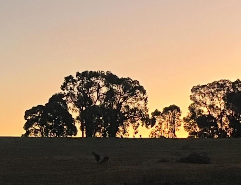Photo of Others in Mount Helena