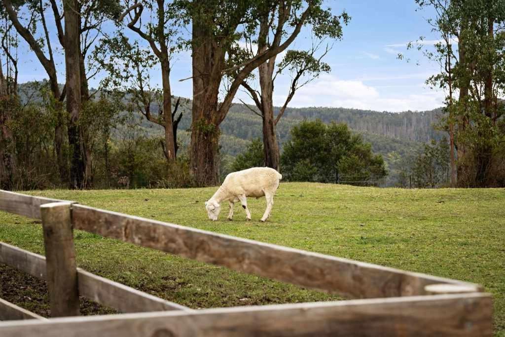 Photo of Others in Jeeralang