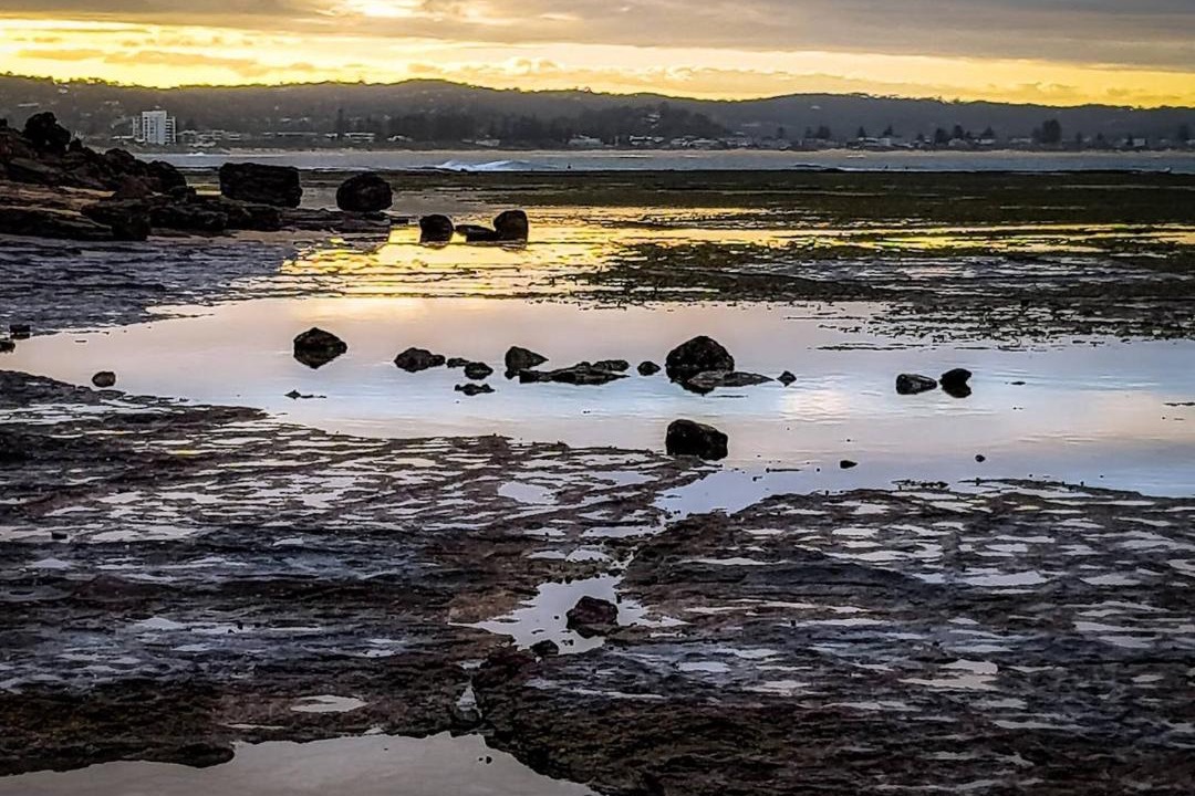 Photo of Others in Collaroy