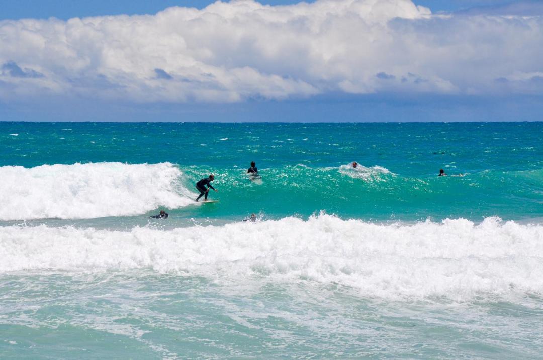 Photo of Others in East Fremantle