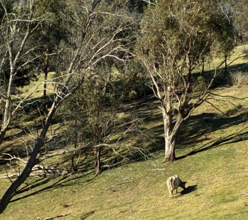 Photo of Others in Rydal