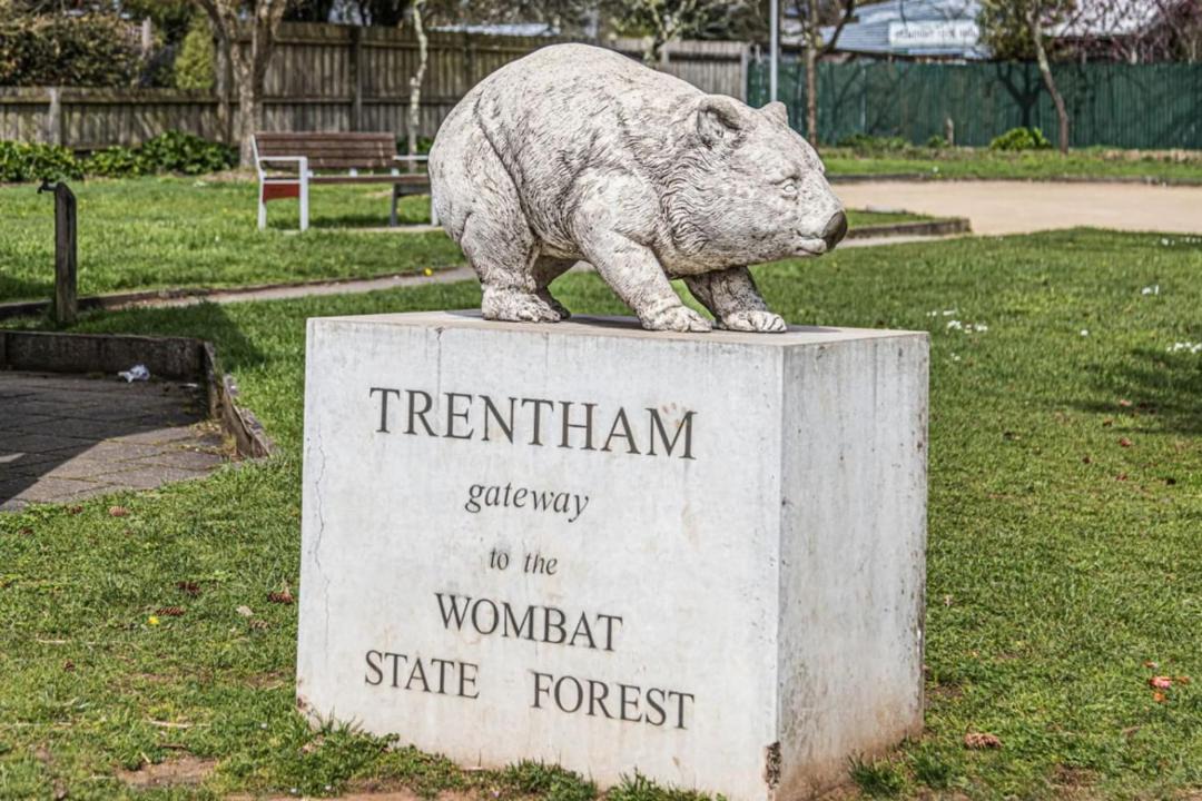 Photo of Others in Trentham