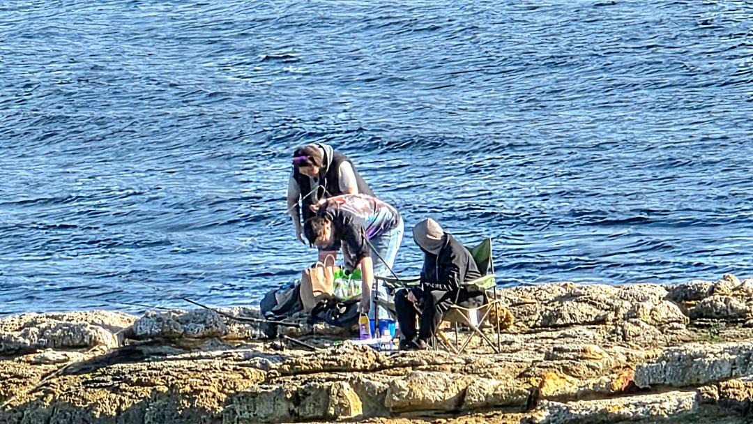 Photo of Others in South Arm
