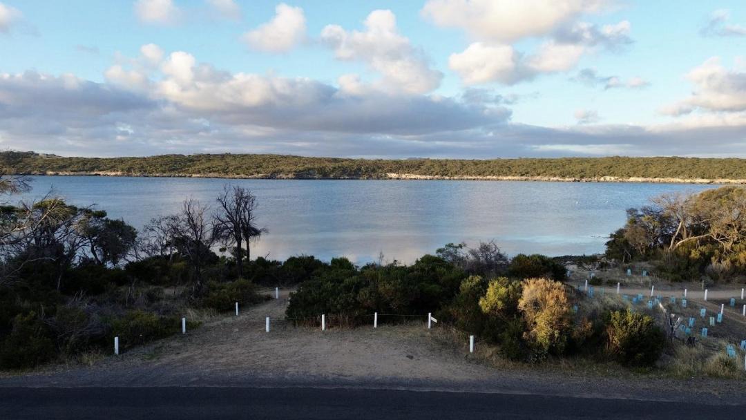 Photo of Others in Lake Wangary