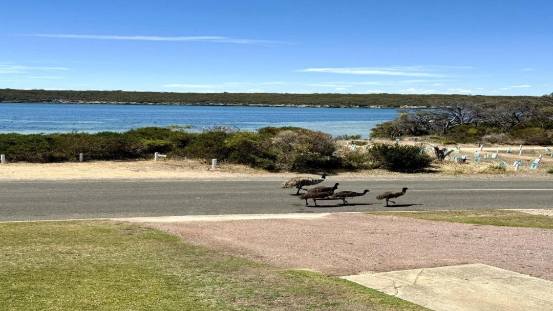 Photo of Others in Lake Wangary