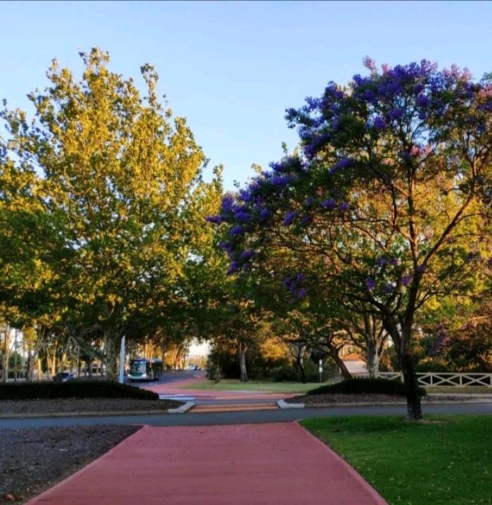 Photo of Others in Willetton