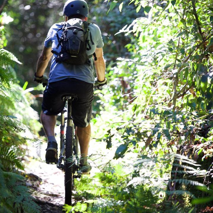 Photo of Others in Possum Brush