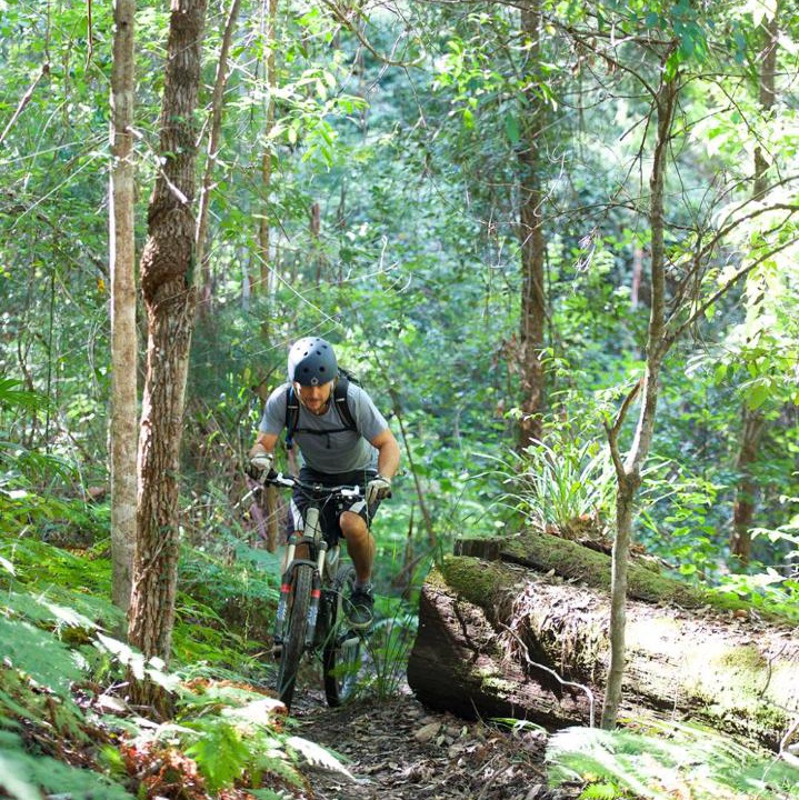 Photo of Others in Possum Brush