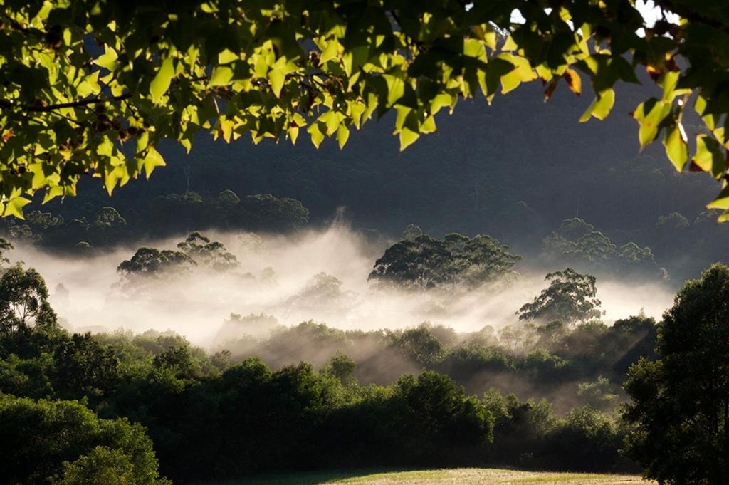 Photo of Others in Possum Brush