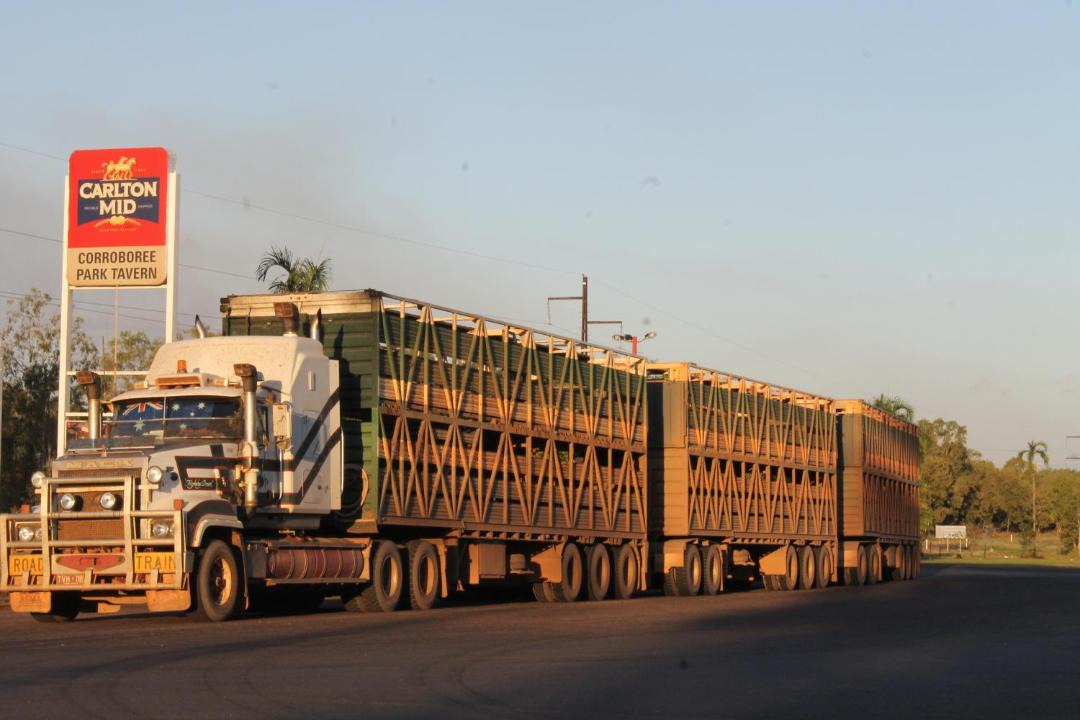 Photo of Others in Marrakai