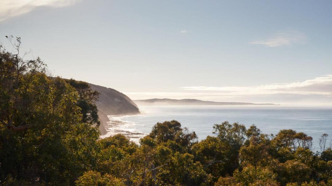 Photo of Others in Lorne
