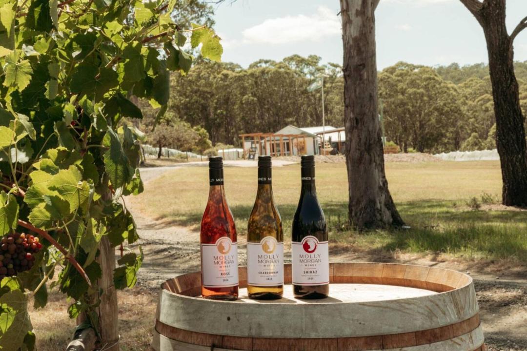 Photo of Others in Lovedale