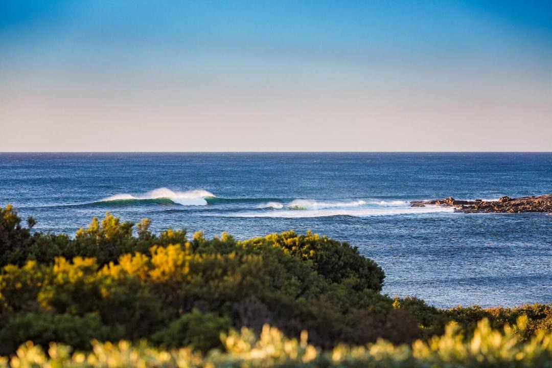 Photo of Others in Gracetown