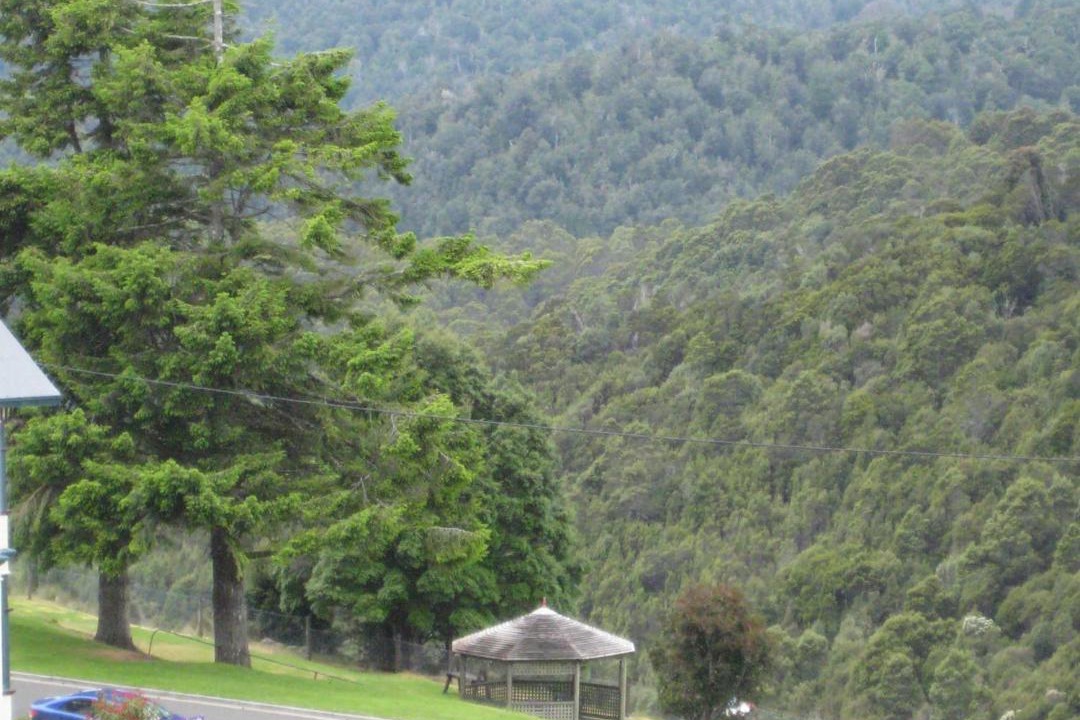 Photo of Others in Waratah
