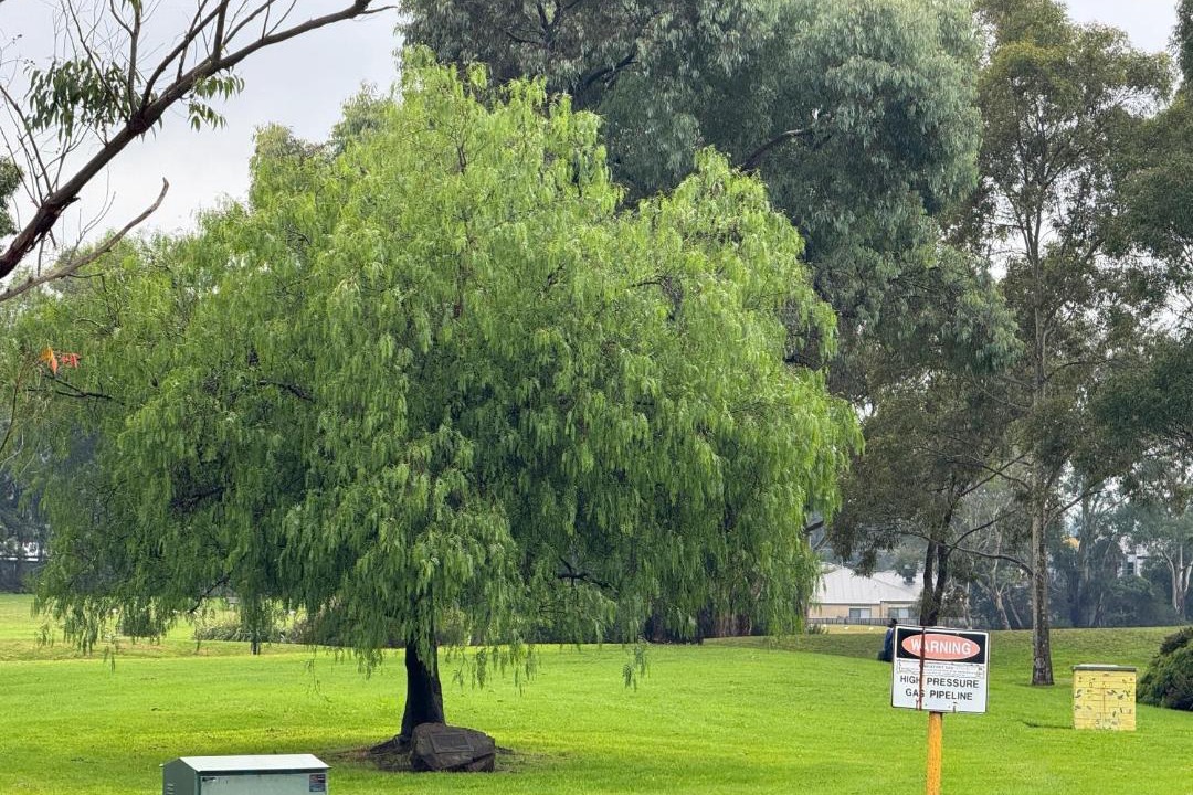 Photo of Others in Mooroolbark